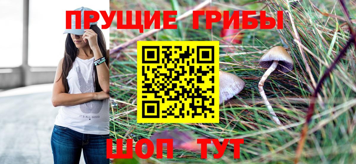 Псилоцибиновые грибы MAGIC MUSHROOMS  Вход с VPN  Псилоцибиновые грибы мухоморы  купить наркотики сайты  Комсомольск-на-Амуре 